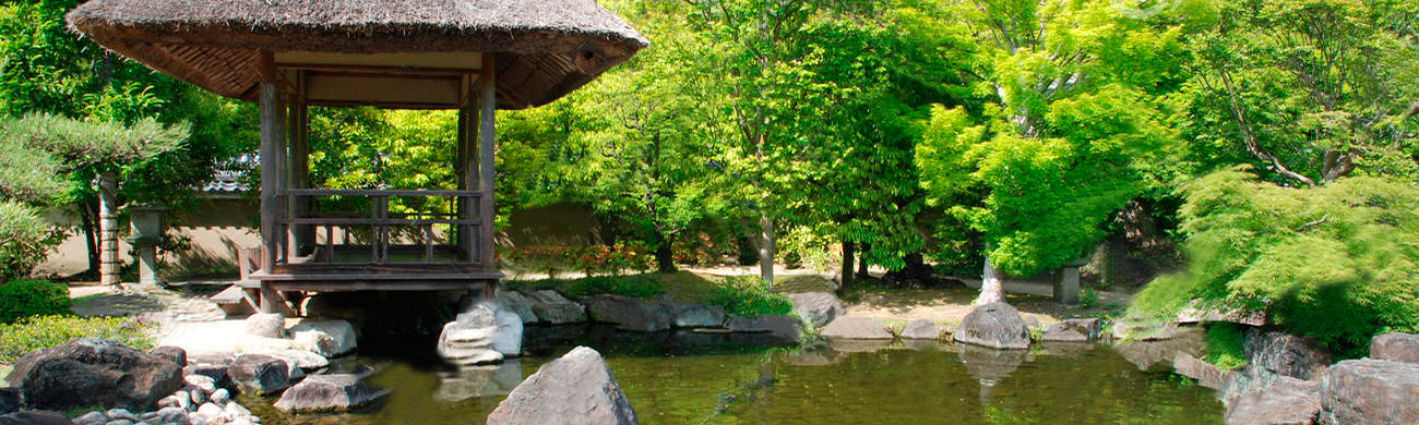 water-tuin